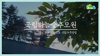 국내 최초 국립수목장림, 양평 국립하늘숲추모원｜한국산림복지진흥원