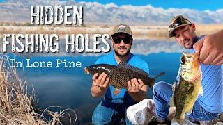 Secret Owens River Fishing Holes in the Eastern Sierras