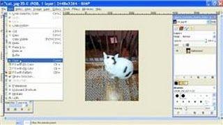 GIMP Tutorial : How to Use the Transparency Tool in GIMP