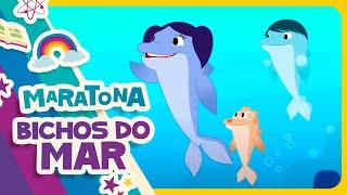 MARATONA BICHOS DO MAR  O Show da Luna!