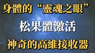 身體裡的「靈魂之眼」，松果體真的可以連結高維空間嗎？怎麼激活？