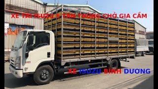 XE TAI ISUZU 5 TAN NQR THUNG CHO GIA CAM