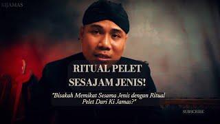 RITUAL PELET SESAMA JENIS!