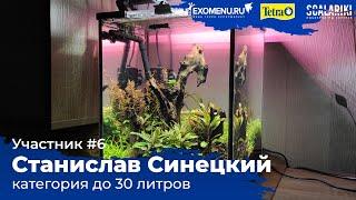 Кубик 20 литров. Участник №6 в категории до 30 литров #Scalariki​ Aquascaping Contest 2021