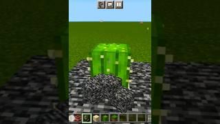 Cactus Power In Minecraft #shorts #minecraft