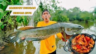 STRIKE PAKAI UMPAN JITU DI JAMIN GACOR || SURVIVAL FISHING RAMUAN KHUS BUAT MANCING