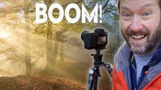 The Most Epic 5 Days of Woodland Photography (I have ever had!)