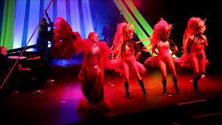 DIVA Tomasz - Opening von DIVAs Delight