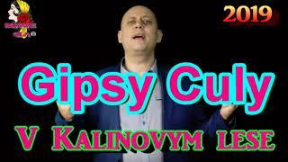 Gipsy Culy   V Kalinovym lese 2019