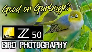 Nikon Z50 Bird Photography | GOOD or GARBAGE?