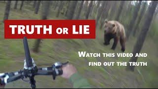 The whole truth about the bear attack video