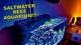 Adding Coral To Saltwater Aquarium! (Nero 3 Wave Maker)