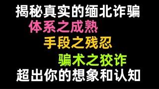 揭秘真实的缅北诈骗，建议带上家人一起看，避免上当受骗！