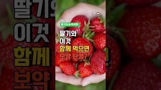 딸기와 이것 함께 먹으면 보약 탄생 - 딸기 효능 - 딸기와 같이 먹는 음식 - 딸기 효능 극대화 - 중년 건강 정보 - 생딸기