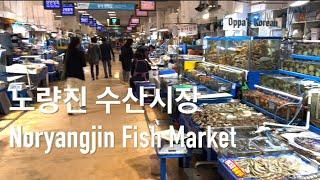 노량진 수산시장: Noryangjin Fish Market