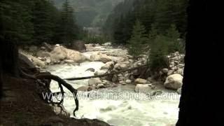 Raging Himalayan torrent: Jallandhri Garh above Harsil, en route Lamkhaga