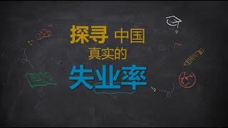 【硬核】AI带你探寻中国真实的失业率