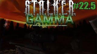 CLEAN UP - S.T.A.L.K.E.R GAMMA EP. 22.5