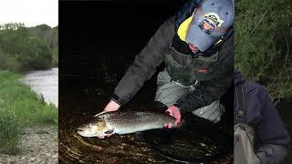 Fishing In Wales - Sea Trout & Salmon Conservation