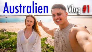 Australien macht uns sprachlos! Brisbane & Noosa Vlog