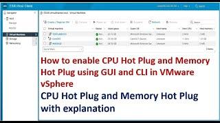 How to enable CPU hot plug and memory hot plug in VMware vSphere ? | CPU hot plug | Memory hot plug