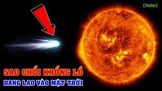 Sao Chổi khổng lồ 96P/Machholz 1 đang lao về phía Mặt trời [Replay] | Top thú vị |