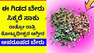 ಈ ಬೇರು  ಸಿಕ್ಕರೆ ಕುಬೇರರಾಗ್ತೀರ! lakshmi attraction money beru astrology vastu tips in kannada