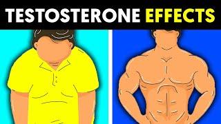 I Naturally Increased My Testosterone and This Is What Happened To My Body