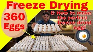 Freeze Drying 360 Eggs & How to make the Perfect Freeze Dried Egg!