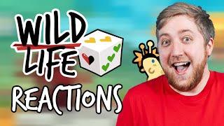  Watching WILD LIFE Fan Made Content! 