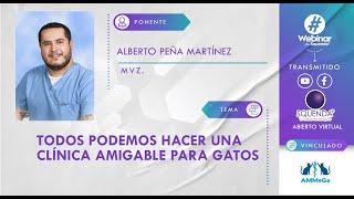 Todos podemos hacer una clínica amigable para gatos - MVZ Alberto Peña Martínez