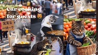 Cat Cooking For Guest  | Best Funny Cat Videos 2024  #cat @The-Cat-Journey