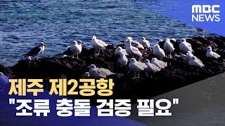 "제2공항 조류 충돌 가능성 철저히 검증해야" (2025.01.09/뉴스데스크/제주MBC)