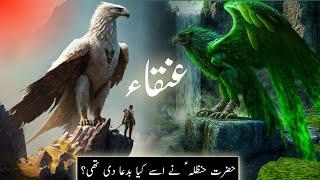 Story of Anqa bird in islam | Griffin bird mythology | Hazrat Hanzala | Amber Voice | Urdu Hindi |