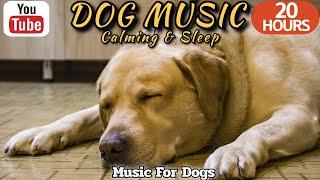 20 HOURS of Dog Calming MusicAnti Separation Anxiety ReliefMusic to soothe dogs⭐Healingmate