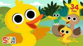 Ducks! Ducks! Ducks!  | Quacky Kids Songs | Super Simple Songs