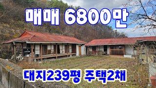 24162 영동하나로부동산 010 3042 2397 대지239평 주택2채 매매6800만 영동읍내 7km 리모델링해야 하는 흙집이며 기둥 보 석가래 상태 매우 양호합니다