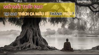 Tại sao Thích Ca Mâu Ni Thành Phật? Mở mắt thấy đạo - Vạn vật giác ngộ