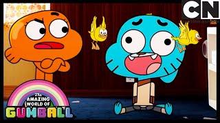 A Segurança | O Incrível Mundo de Gumball | Cartoon Network 