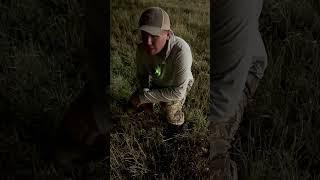 Every Hunting Influencer Ever #hunting #influencer #backfire #viralvideo