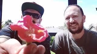 The chili review - Cap Mushroom Red with Benny