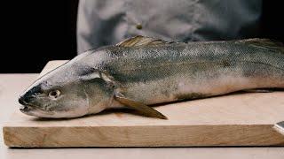 Black Cod (Kohlenfisch) – Jetzt bei Deutsche See erhältlich