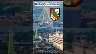 Mengenal Kota Pekanbaru Provinsi Riau #feedshorts #pekanbaru #riau #kotapekanbaru #shorts #kota