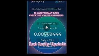 What Is Really Happening With Catly