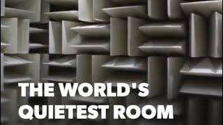 The World’s Quietest Room