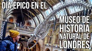 Día épico en el Museo de Historia Natural de Londres