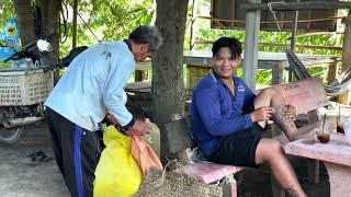 Village Life Farm Life TV "Free range Duck Farming Technique "transporting ducks by truck"Farm Truck