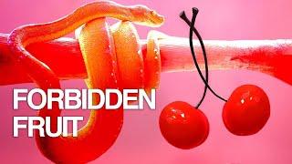 Sex and taboo in the modern age | Zoe Strimpel, Myriam François and Louise Perry