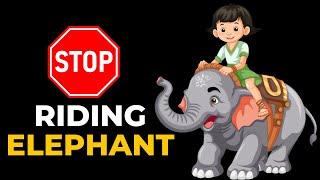 Why Elephant Riding Is Bad | Elephant Ride | The Planet Voice