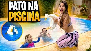 COLOQUEI MINHA PATA MARGARIDA NA PISCINA *nadou muito*